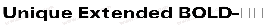 Unique Extended BOLD字体转换
